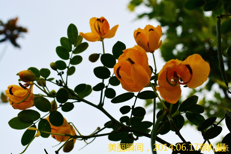 DSC_1483.jpg