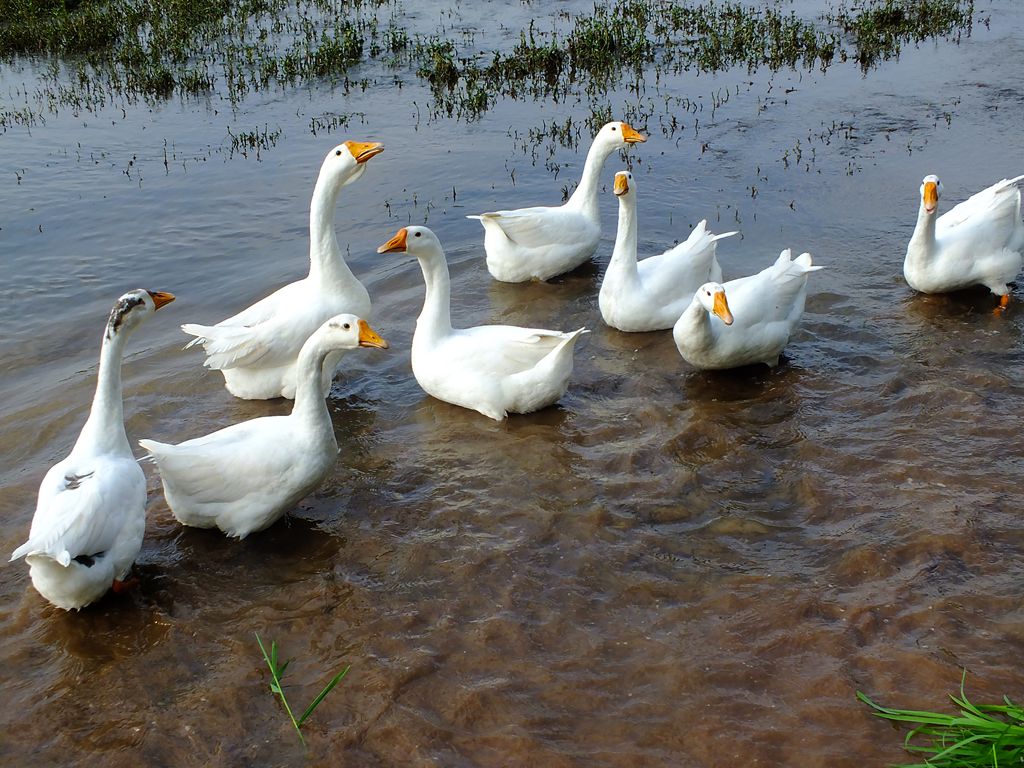 DSCF0244_.jpg