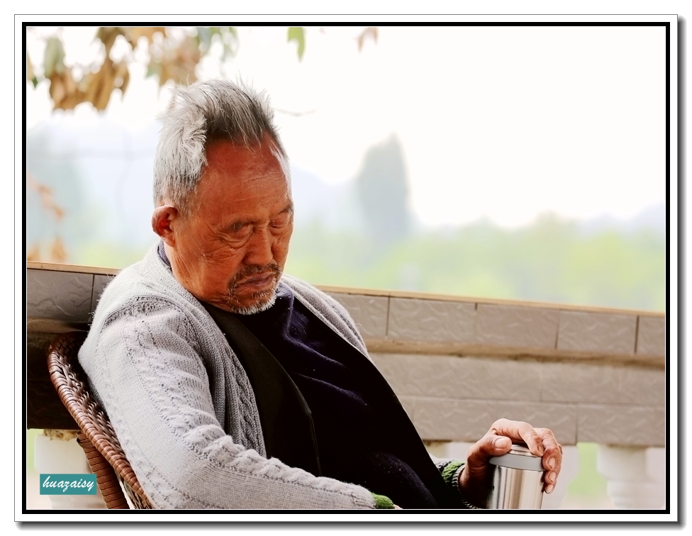 落玉盘-南部县乡村旅游点望月村莲叶随拍-南充论坛-麻辣社区 四川第一