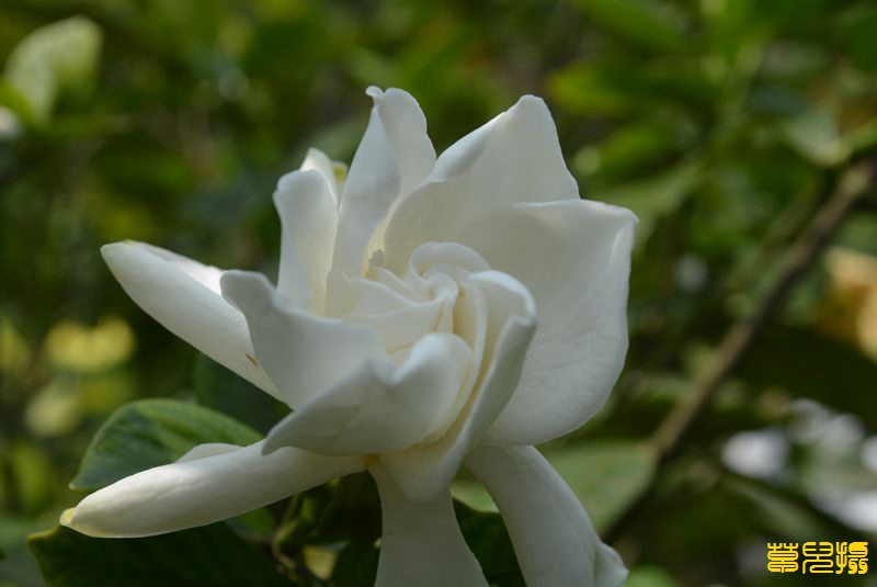 DSC_1429.jpg