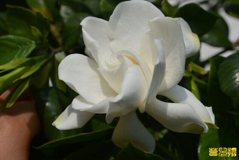 QQͼƬ20140617225033.jpg