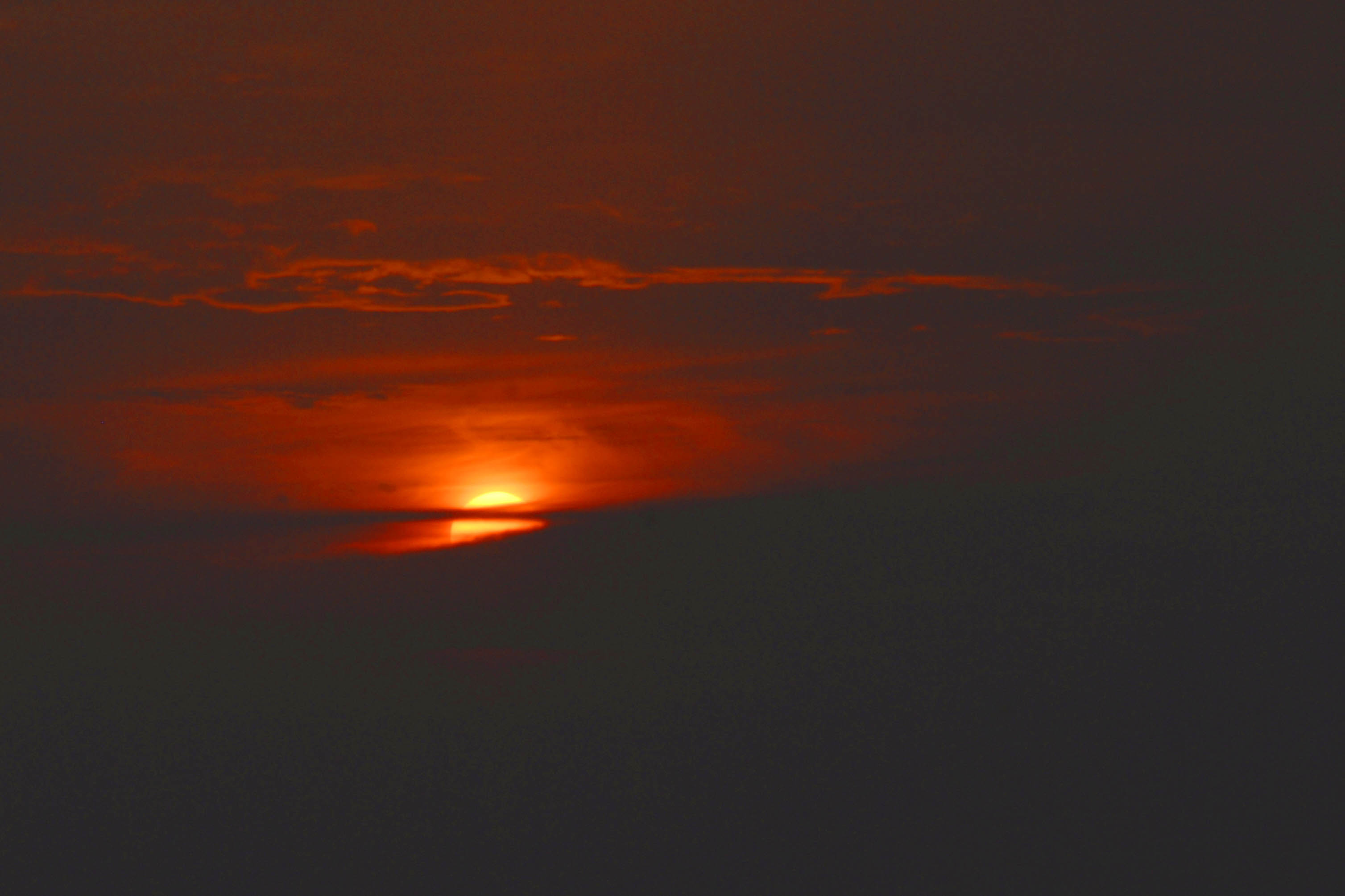 DSC_0445-1.jpg