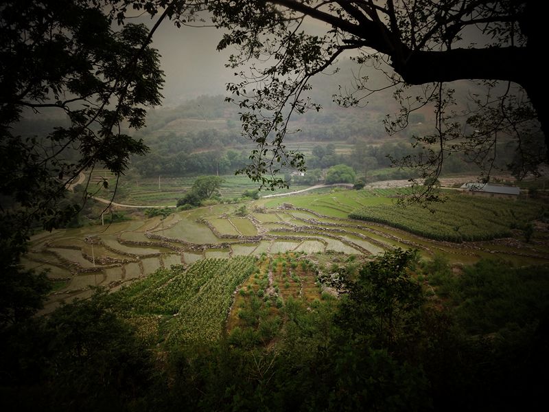 6月29日去德昌海花村消夏