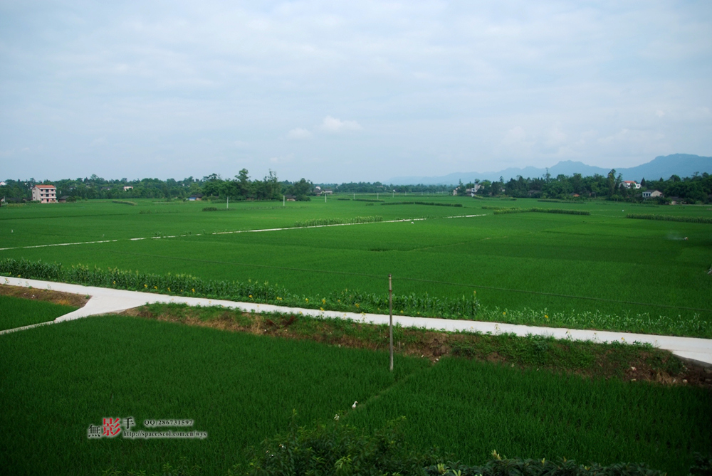 DSCF0146.jpg