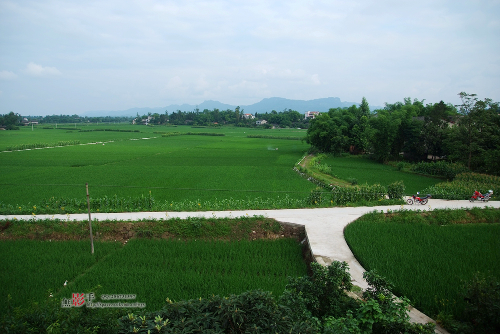 DSCF0147.jpg