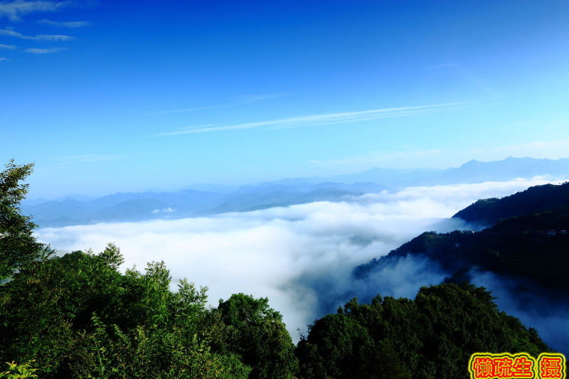 _MG_5971.JPG