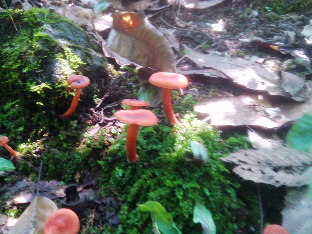 IMG_20140617_105255.jpg