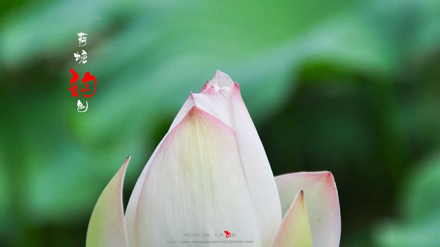 DSC_7097.jpg