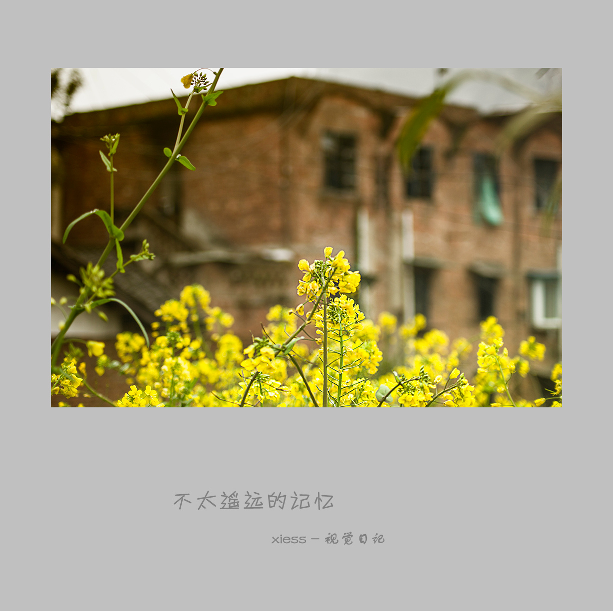 DSC01328ab.jpg