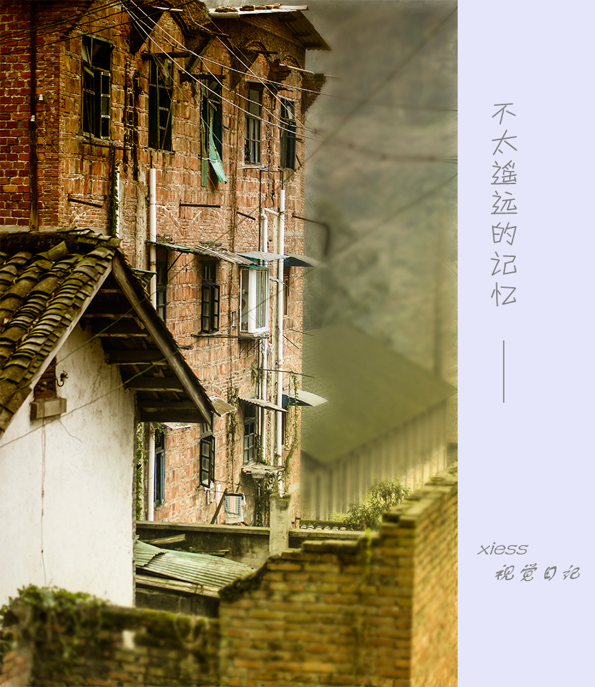 DSC01329ab.jpg
