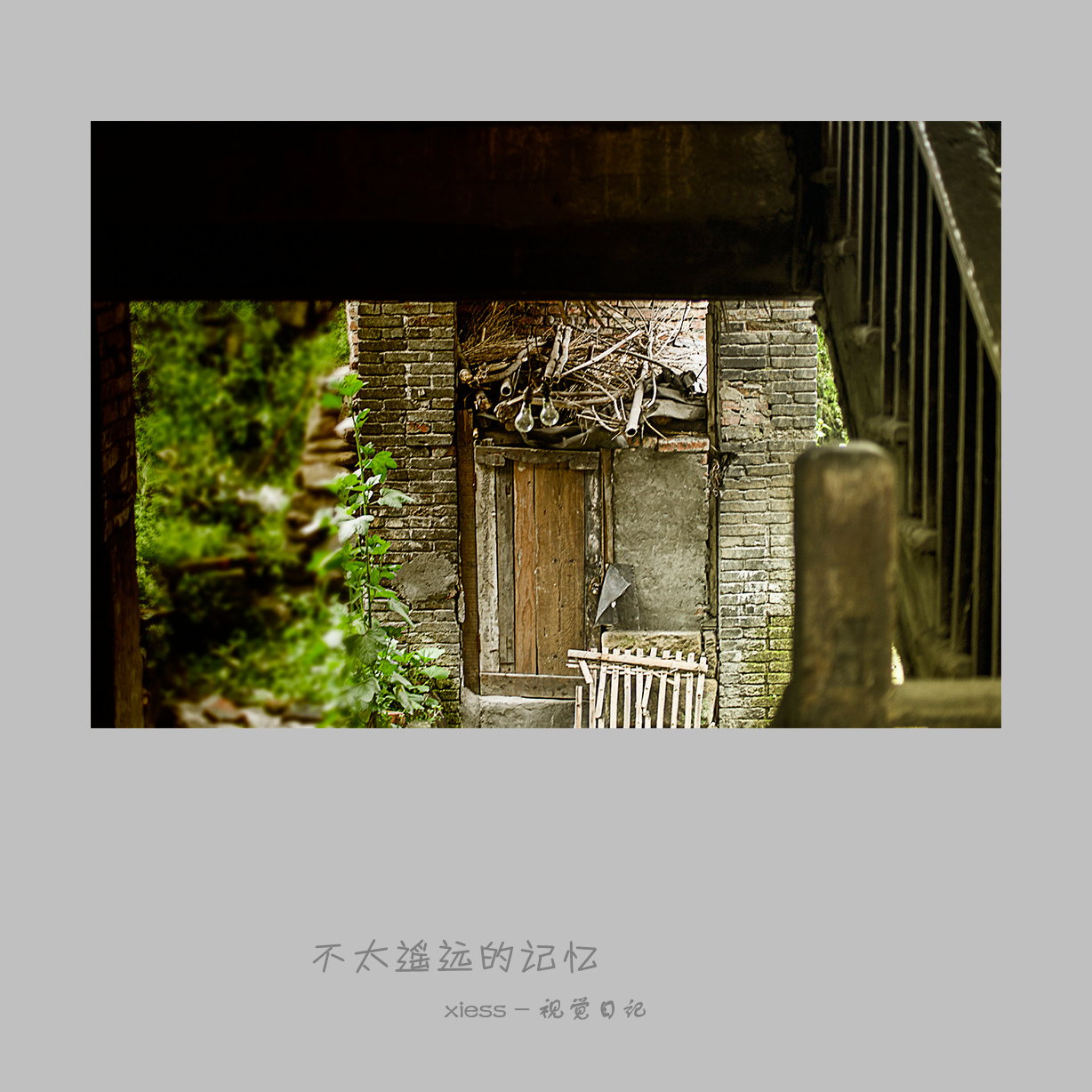 DSC01390ab.jpg