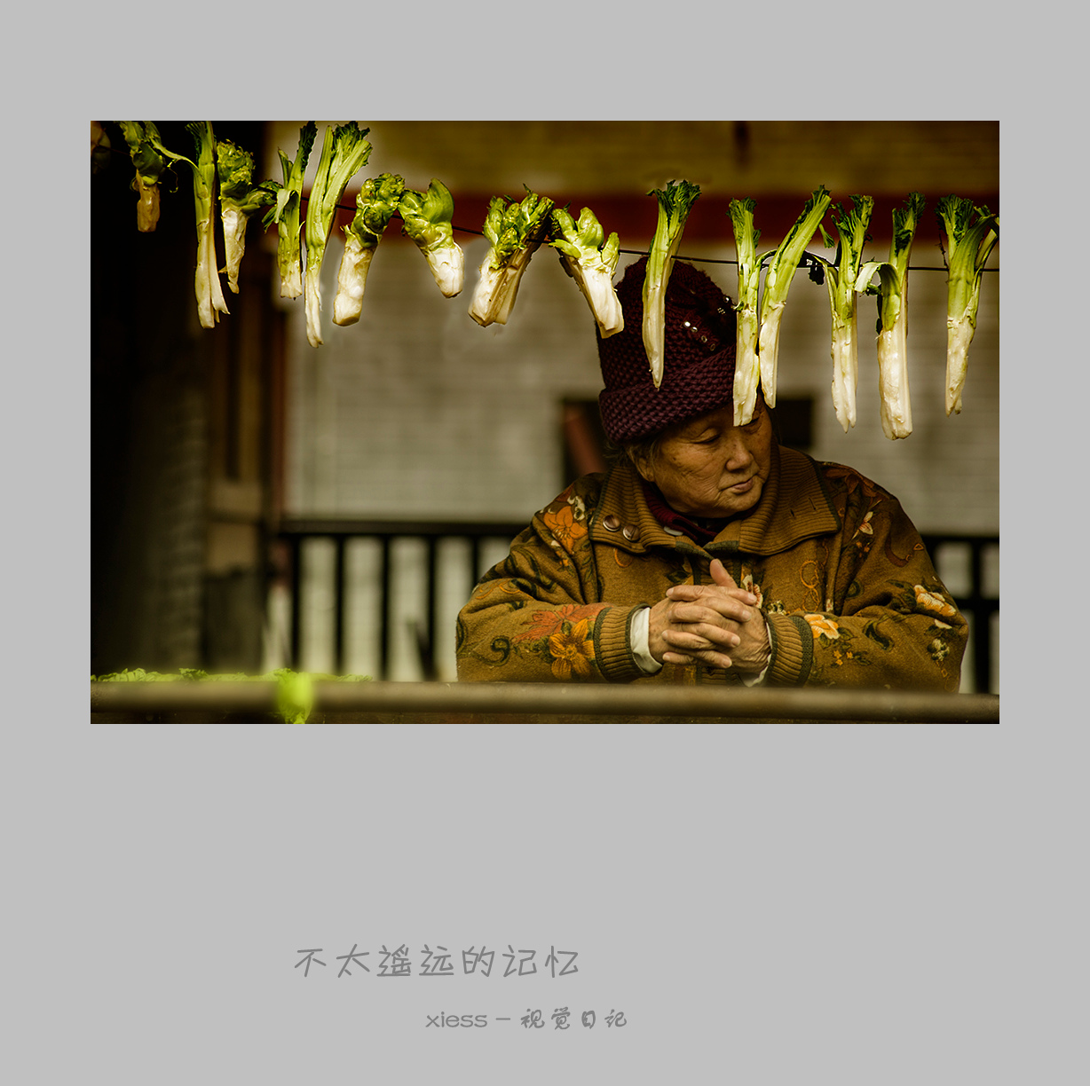 DSC01409ab.jpg
