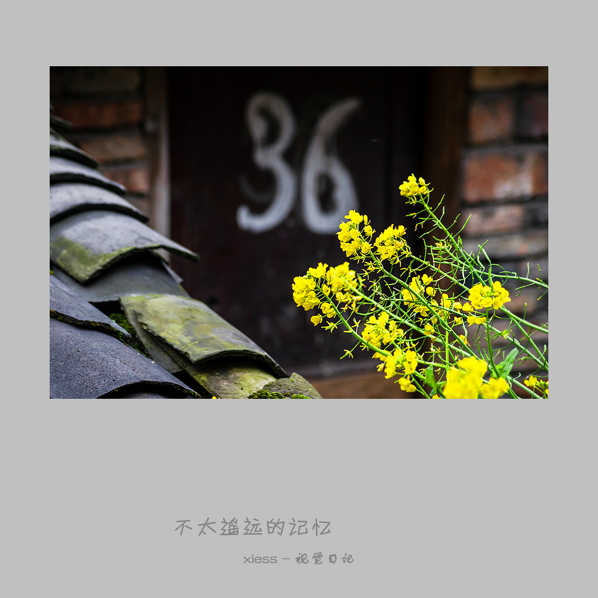 DSC01926ab.jpg