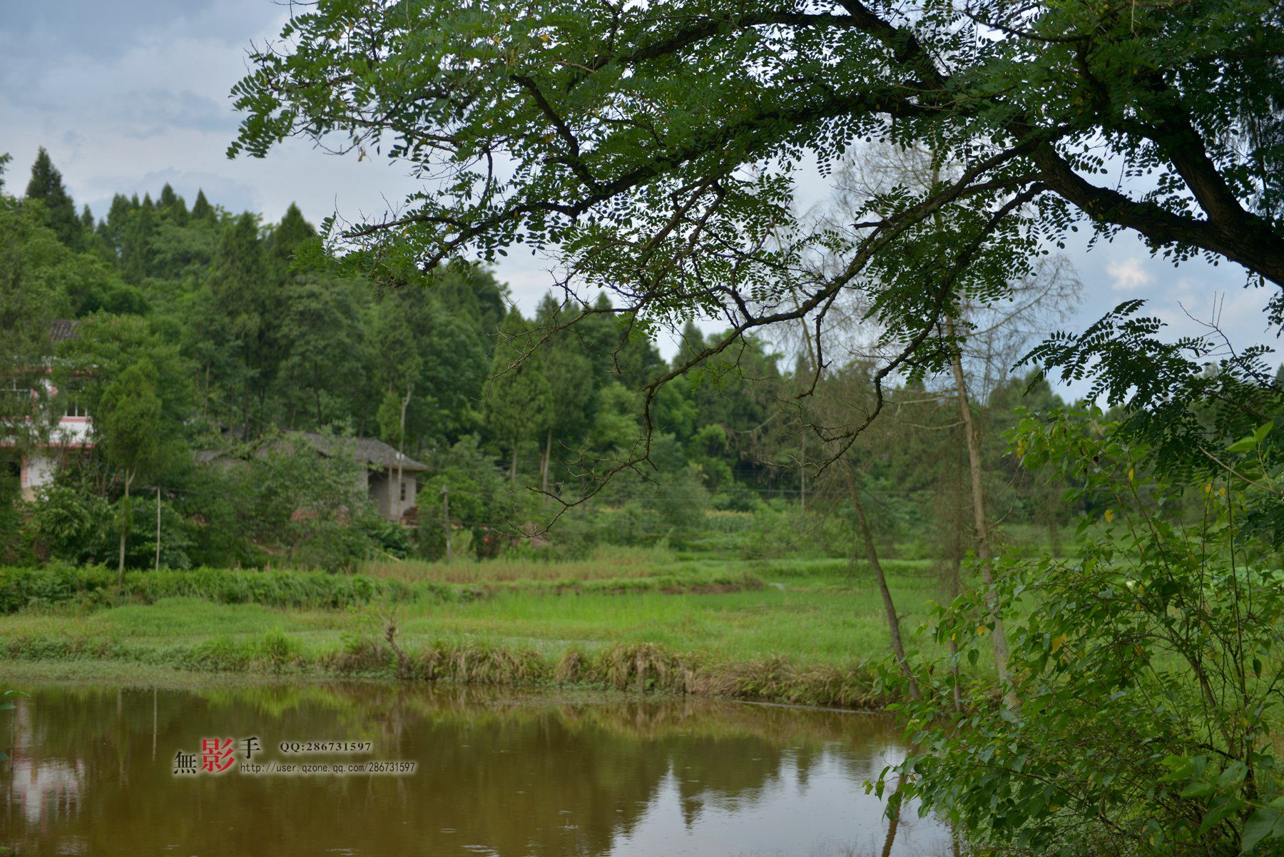 DSC_1021.jpg