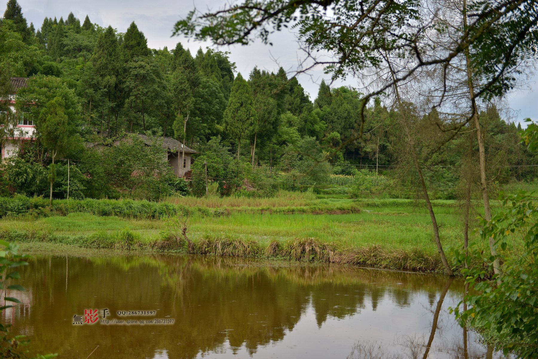 DSC_1022.jpg