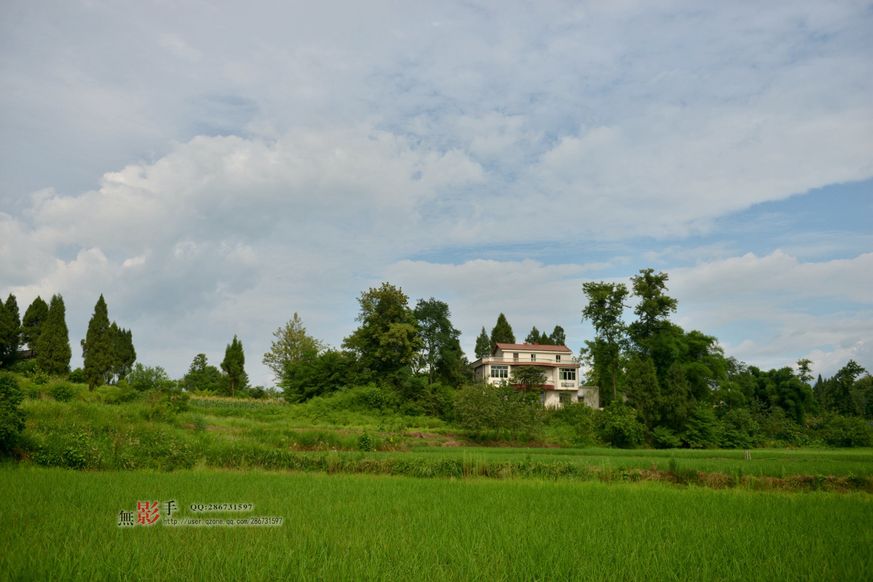 DSC_1040.jpg