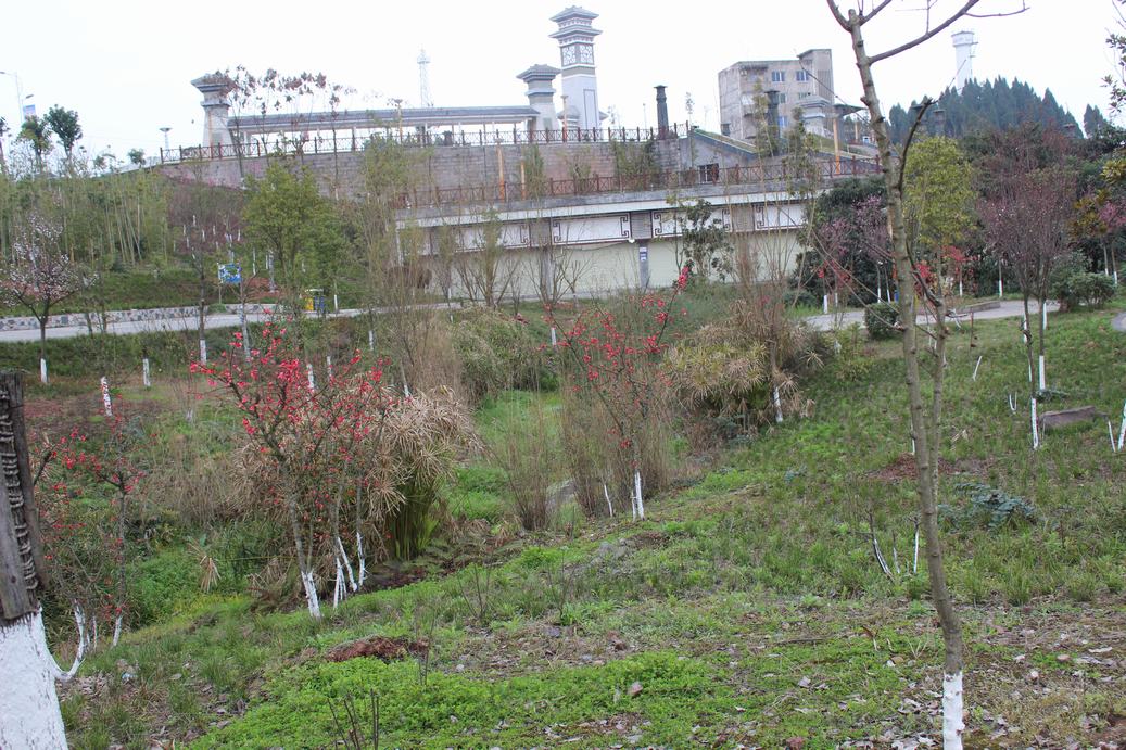 109.JPG