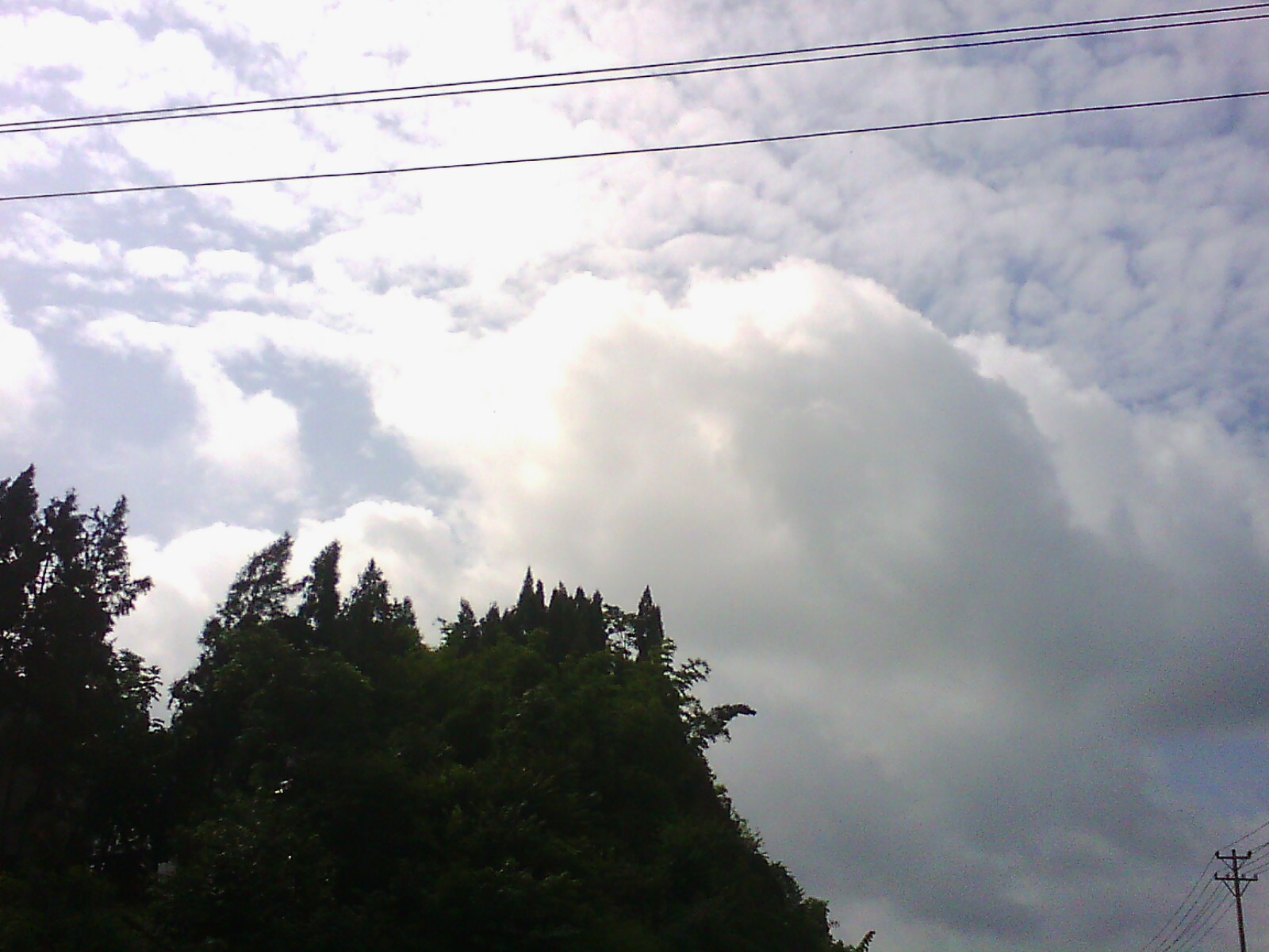 IMG13635.jpg