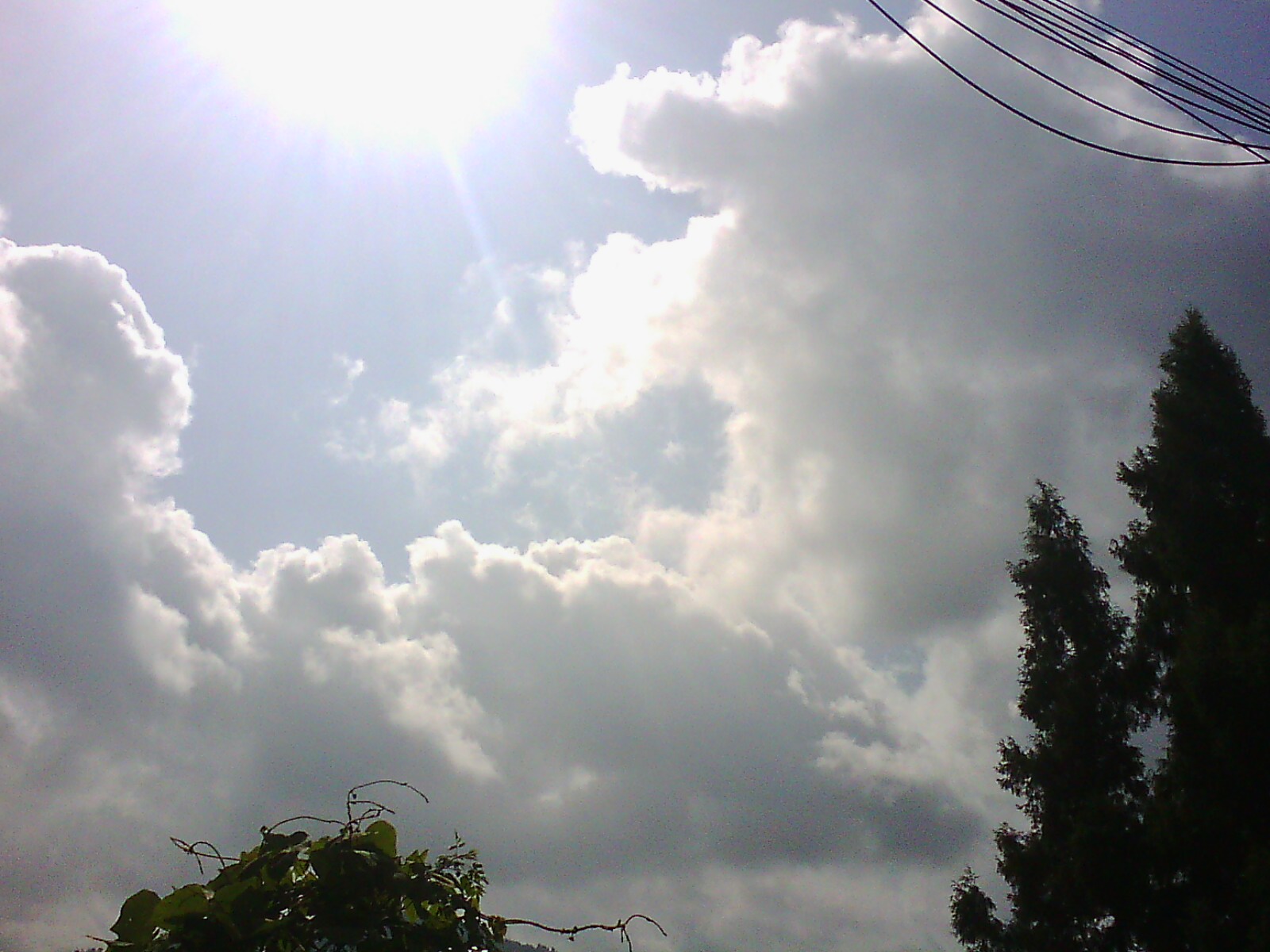 IMG13646.jpg