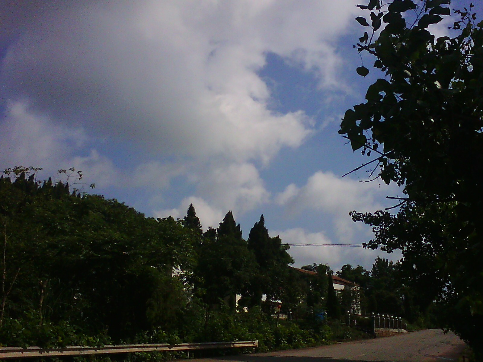 IMG13671.jpg