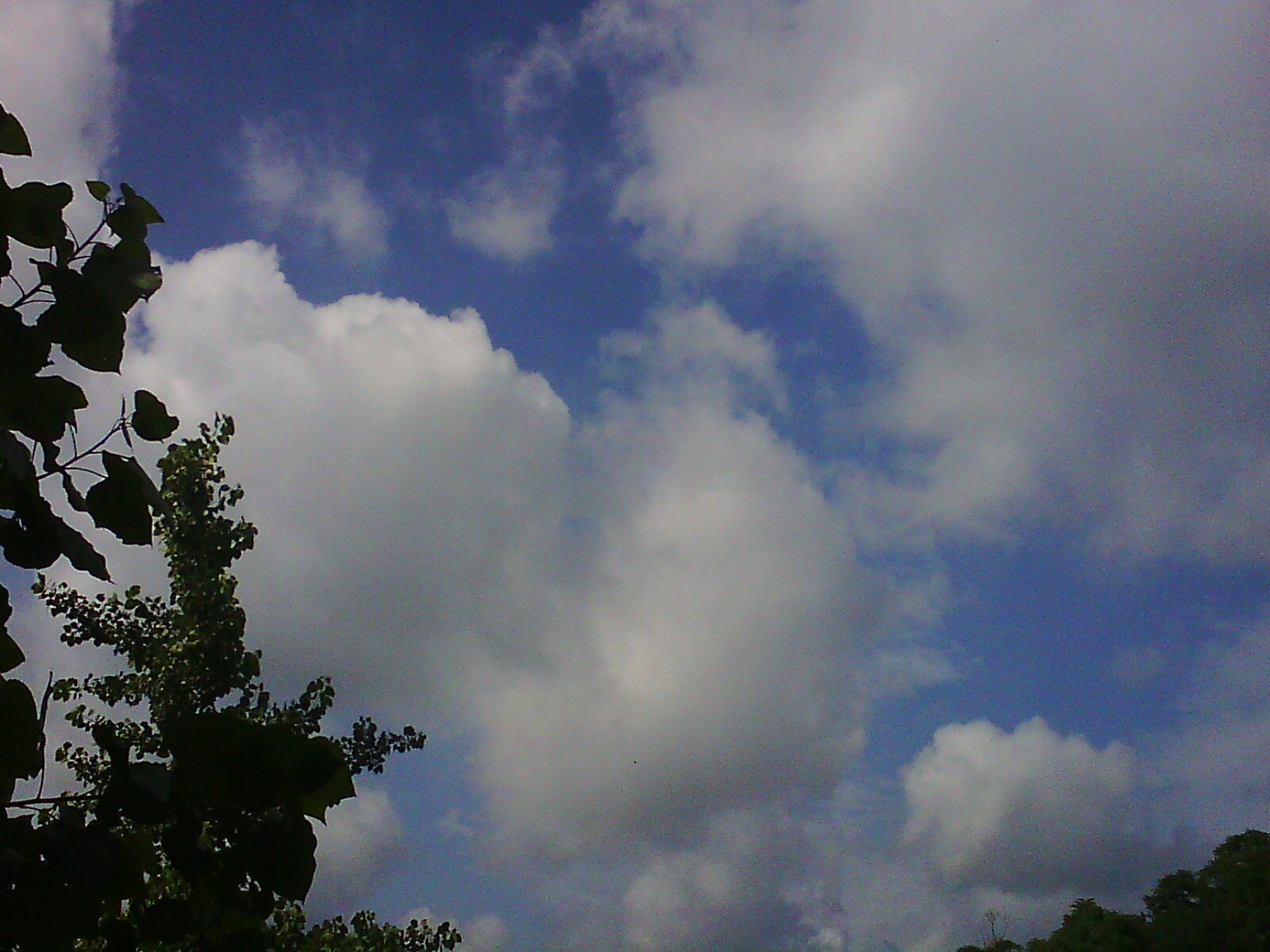 IMG13667.jpg