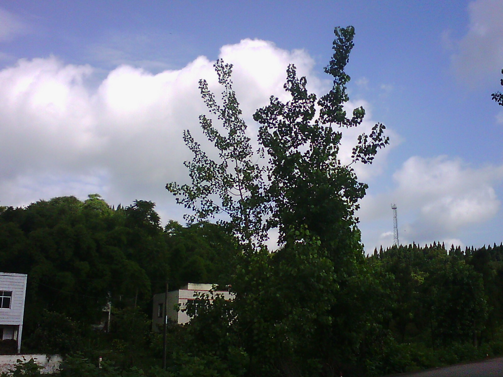 IMG13683.jpg