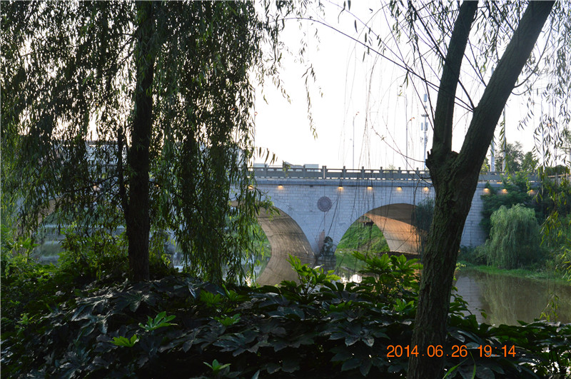 DSC_0005.jpg
