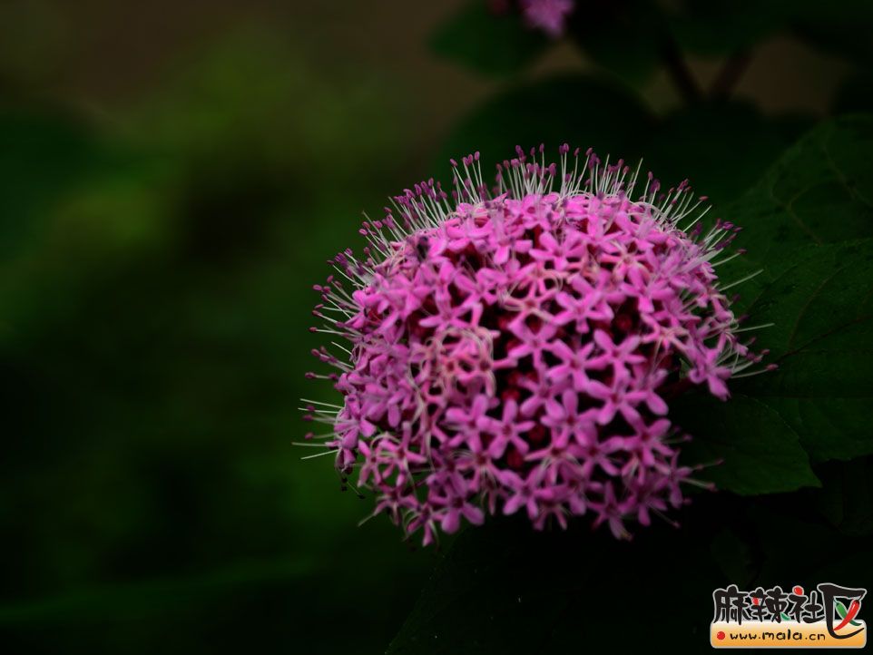 DSC_4359.jpg