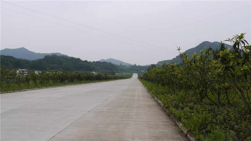 _1040260.JPG