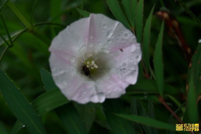 DSC_0851.jpg