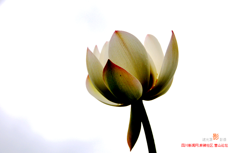 Ƭ 066.jpg