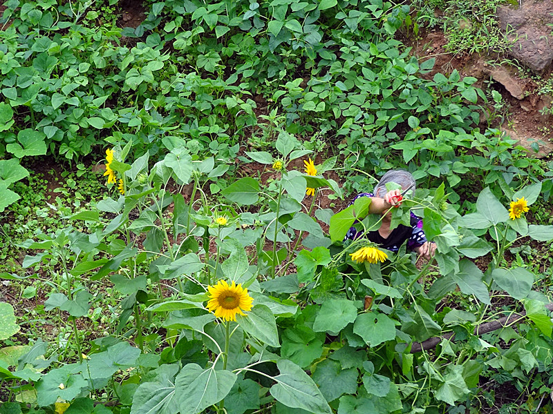 DSC09711_.jpg