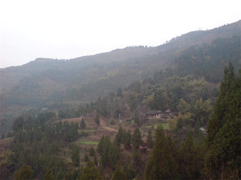 DSC00144.JPG