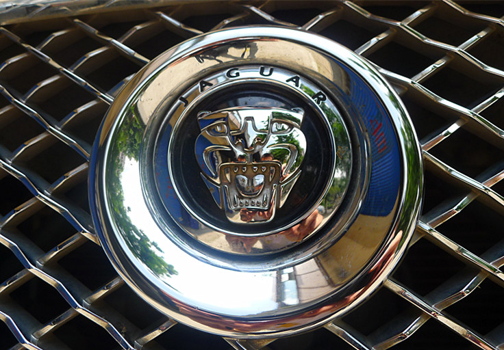 P1520916_.jpg