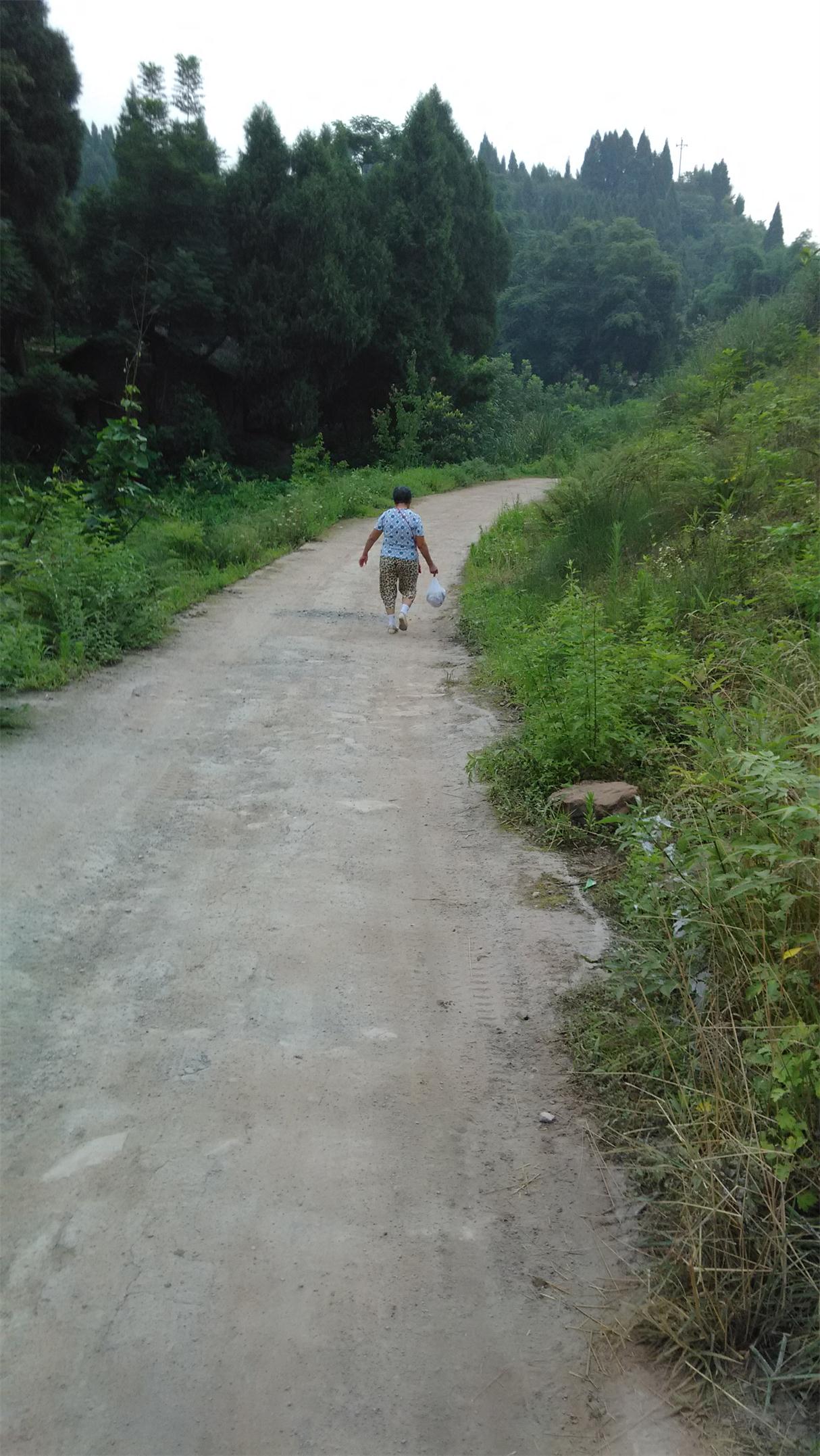 IMG_20140706_081013.jpg