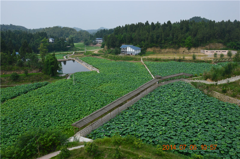 DSC_0028.jpg