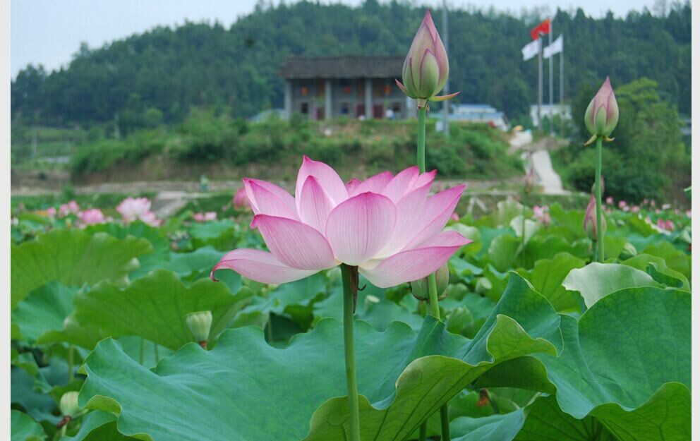 QQͼƬ20140706184934.jpg