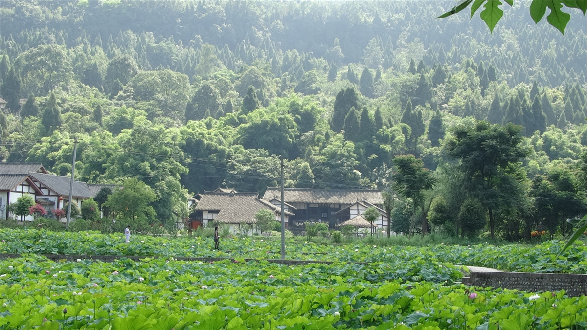 "发展变化中的张澜故里西充县莲池镇见闻