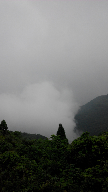 IMG_20140628_170401.jpg