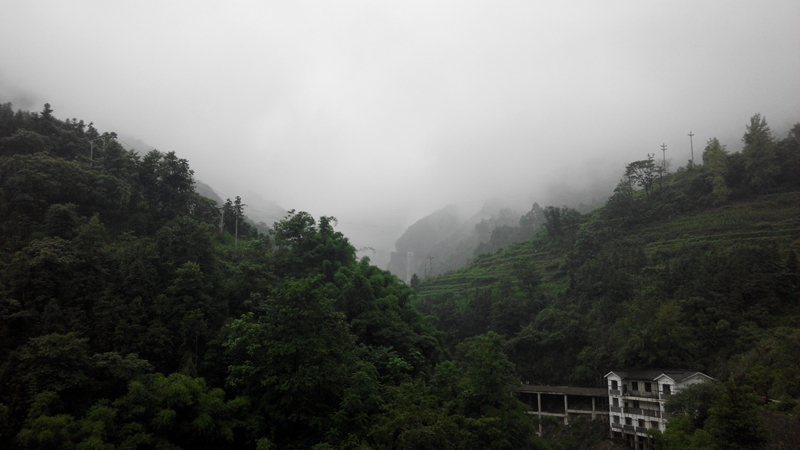 IMG_20140629_144740.jpg