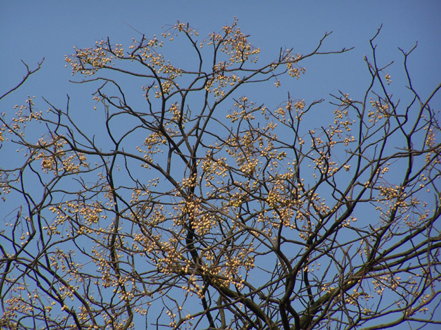 20130124104719_fNitk.jpeg