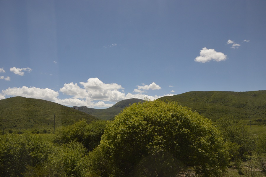 DSC_0117.jpg