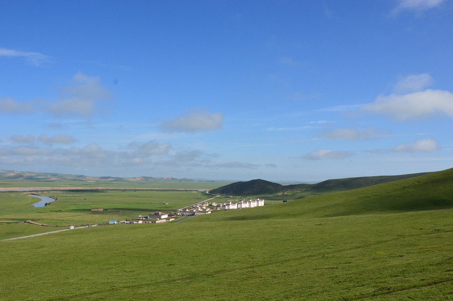 DSC_0478.jpg