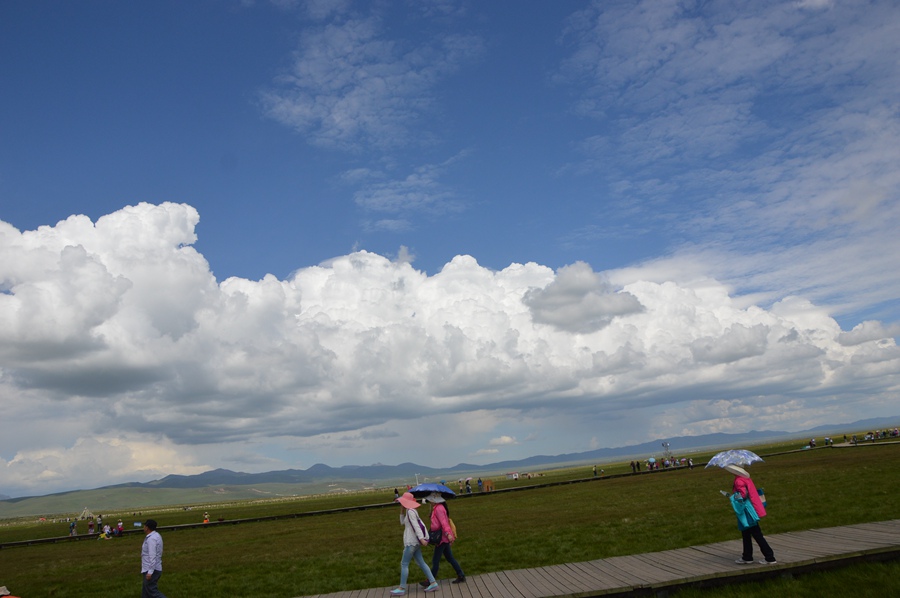 DSC_0648.jpg