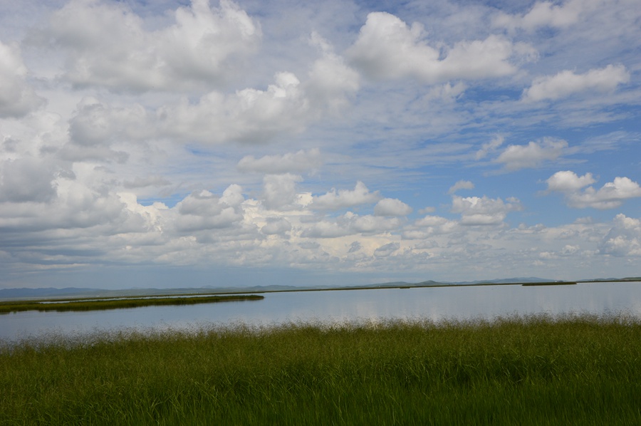 DSC_0710.jpg