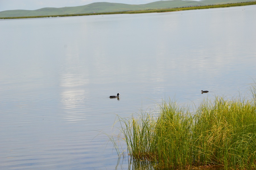 DSC_0716.jpg
