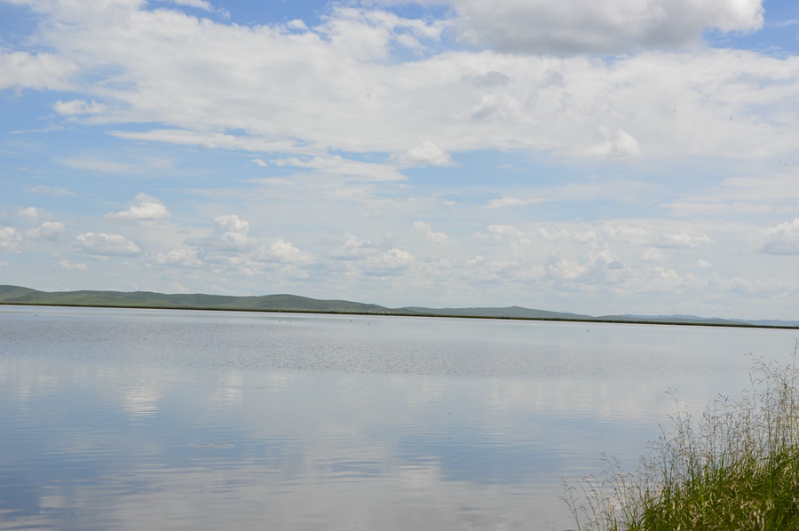 DSC_0720.jpg