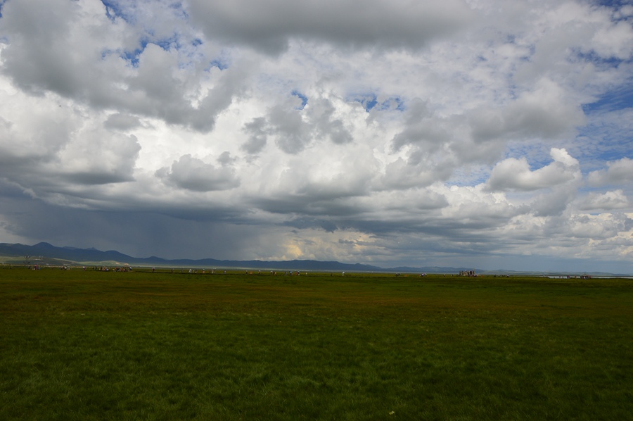 DSC_0739.jpg