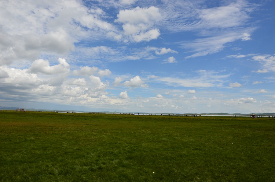 DSC_0740.jpg