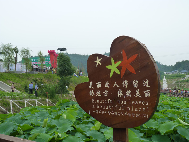 P1330311_.jpg